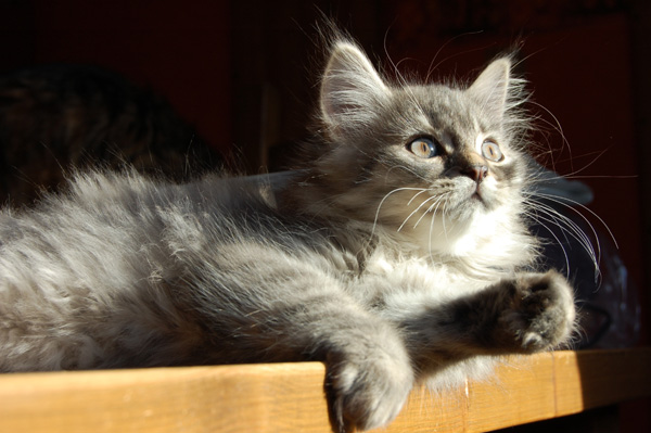 dann ein Sonnenbad genießen.jpg